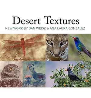 Examples of desert textures artwork