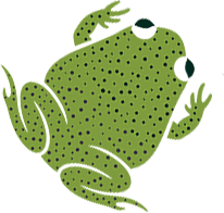 Cactus Wren graphic image