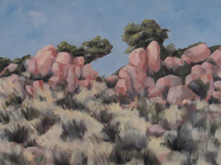 Rocky desert scene