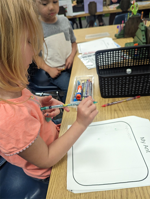 Young scientist holding crayon about to write on a My Ant worksheet