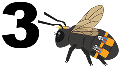 Clip art bee with the number 3 next to it